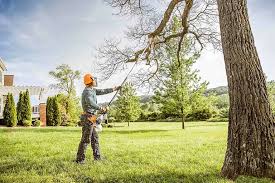 Reliable Poughkeepsie, NY Tree Removal Solutions